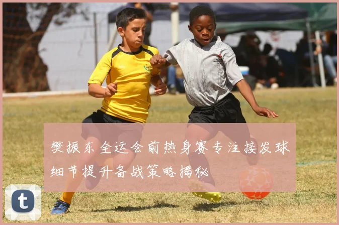 樊振东全运会前热身赛专注接发球细节提升备战策略揭秘