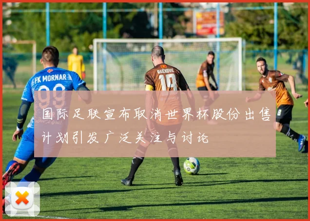 国际足联宣布取消世界杯股份出售计划引发广泛关注与讨论